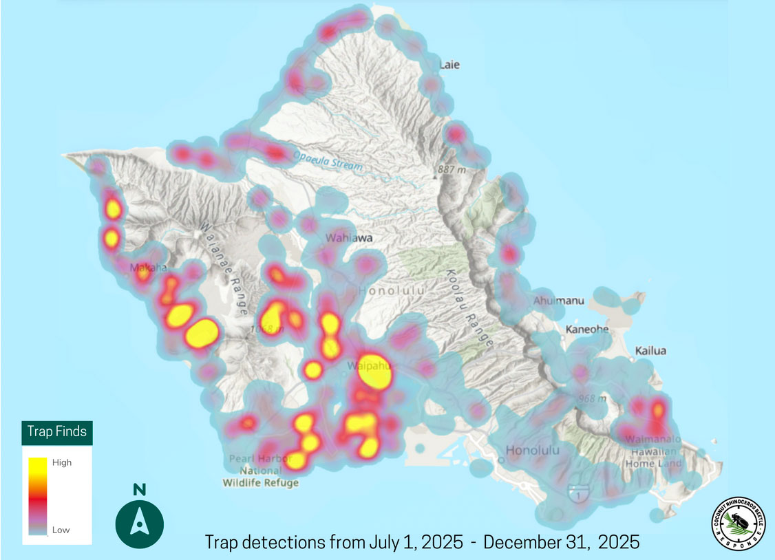 Map of CRB Infestations in Oahu as of 31Dec25