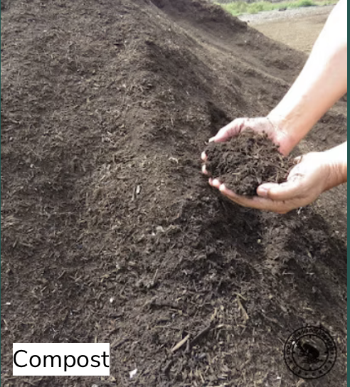 Compost